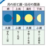 旧暦カレンダー2026 – 和の学校